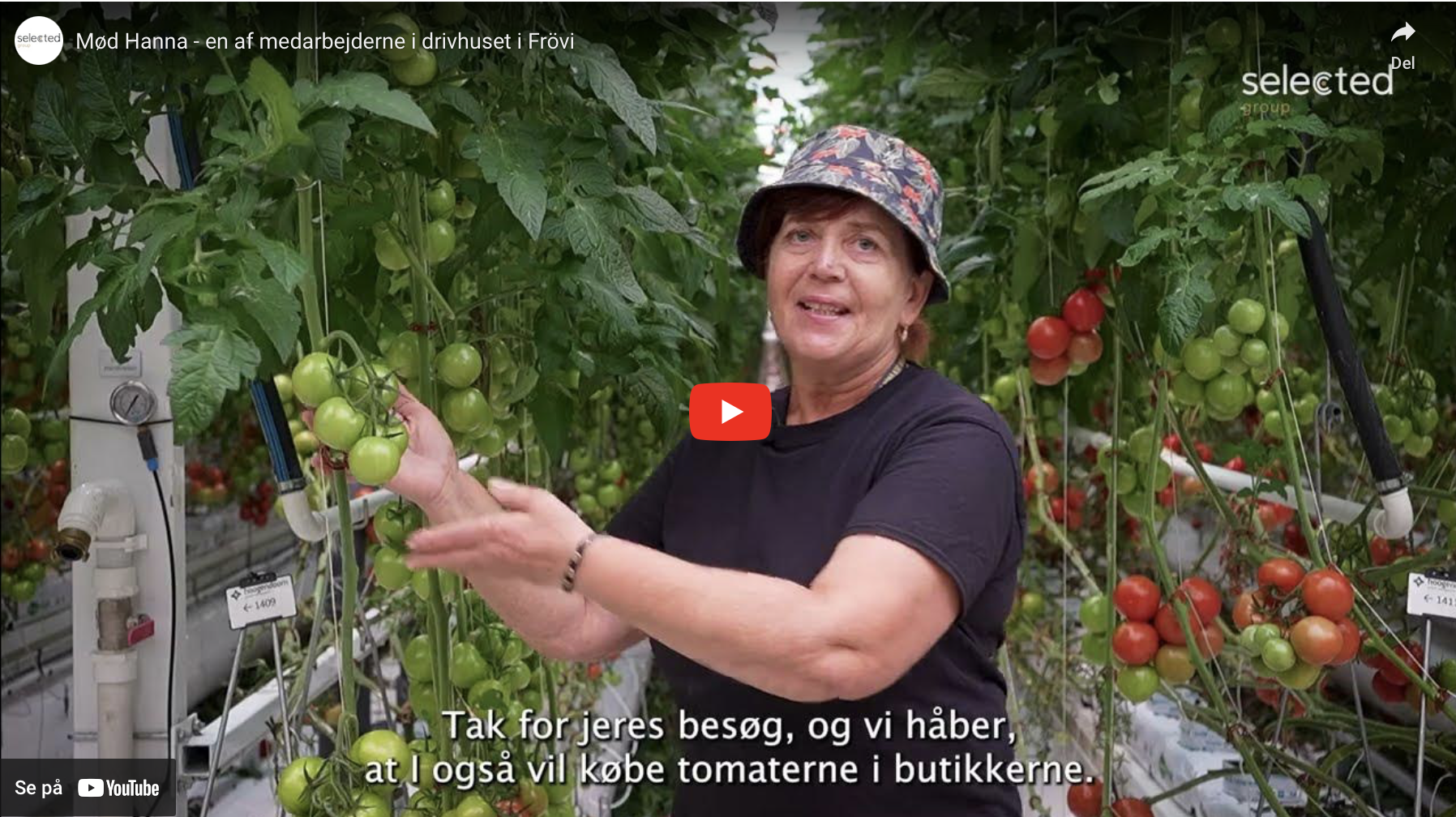 Video af Hanna som er medarbejderne i drivhuset i Frövi