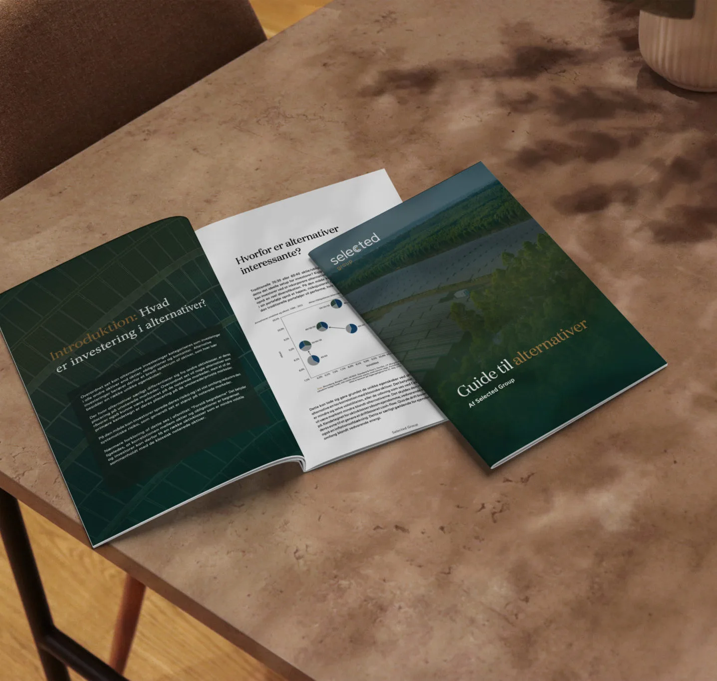 Guide til alternativer, brochure